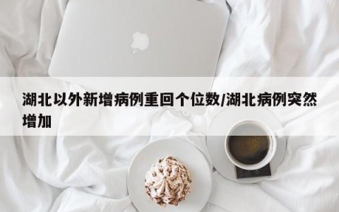 湖北以外新增病例重回个位数/湖北病例突然增加