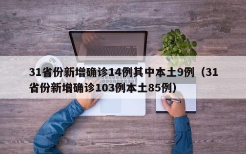 31省份新增确诊14例其中本土9例（31省份新增确诊103例本土85例）