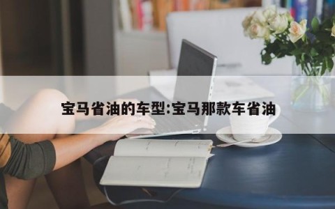 宝马省油的车型:宝马那款车省油