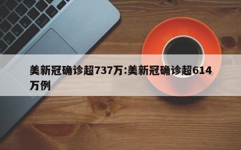美新冠确诊超737万:美新冠确诊超614万例