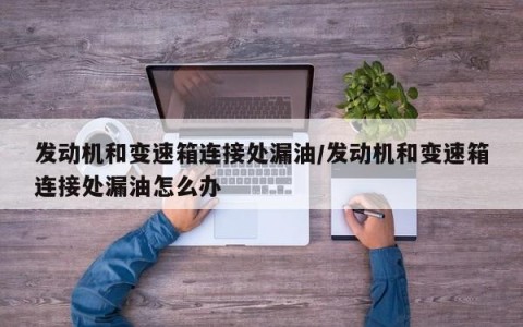 发动机和变速箱连接处漏油/发动机和变速箱连接处漏油怎么办