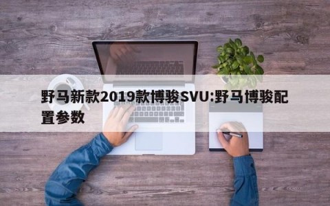 野马新款2019款博骏SVU:野马博骏配置参数