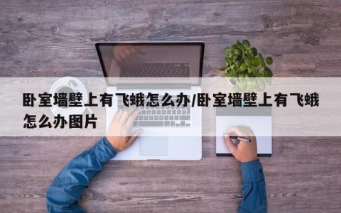 卧室墙壁上有飞蛾怎么办/卧室墙壁上有飞蛾怎么办图片