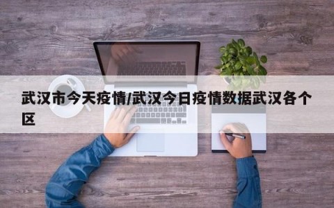 武汉市今天疫情/武汉今日疫情数据武汉各个区