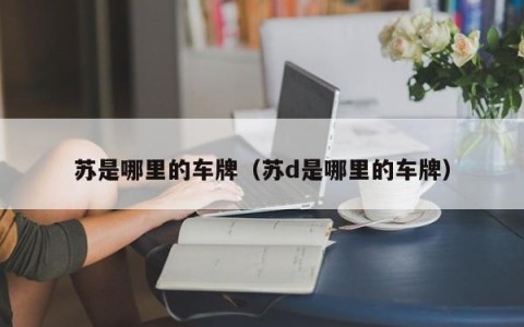 苏是哪里的车牌（苏d是哪里的车牌）