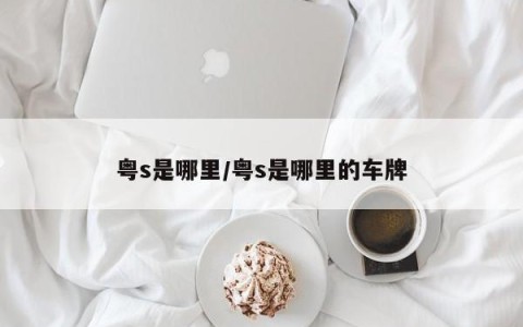 粤s是哪里/粤s是哪里的车牌